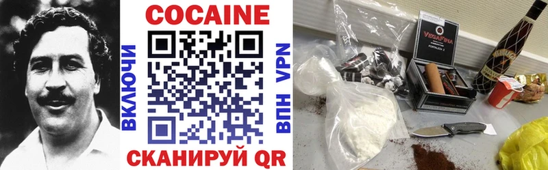 Купить закладки  Ядрин  COCAIN Fish Scale 
