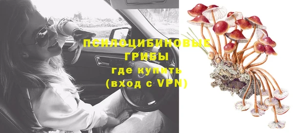 бошки Иннополис