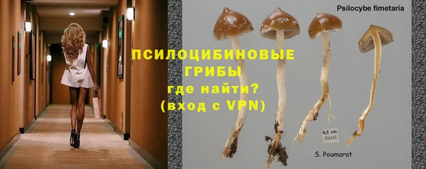 шишки Каменка
