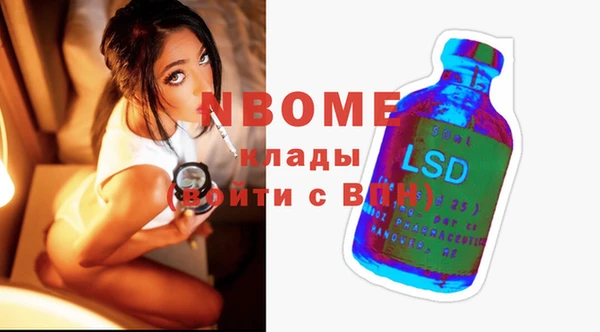 шишки Каменка