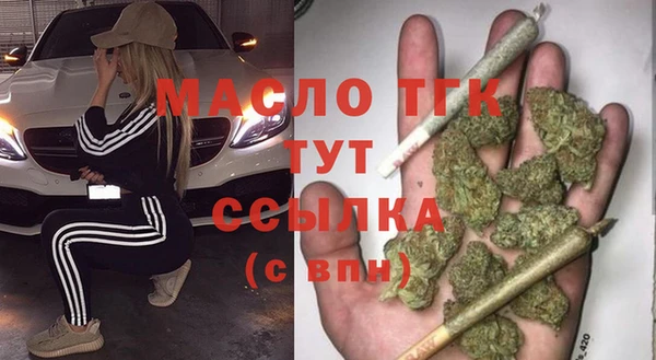 шишки Каменка