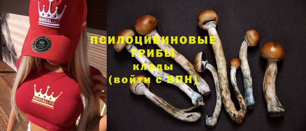 стафф Каменск-Шахтинский
